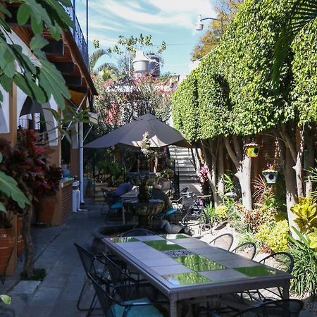 Las Mariposas Hotel & Studios Oaxaca Buitenkant foto