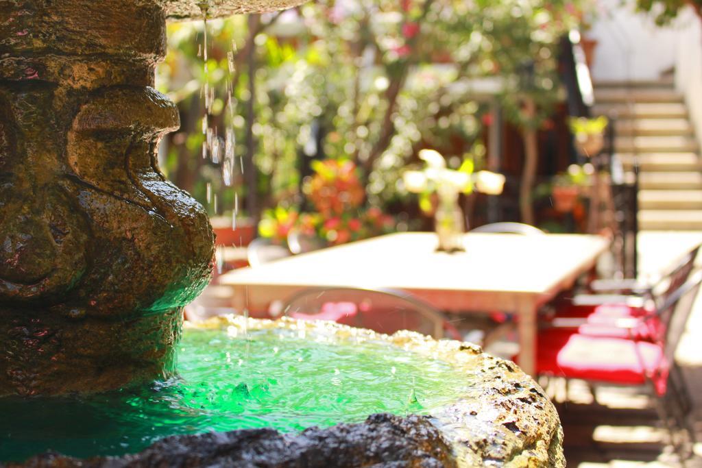Las Mariposas Hotel & Studios Oaxaca Buitenkant foto